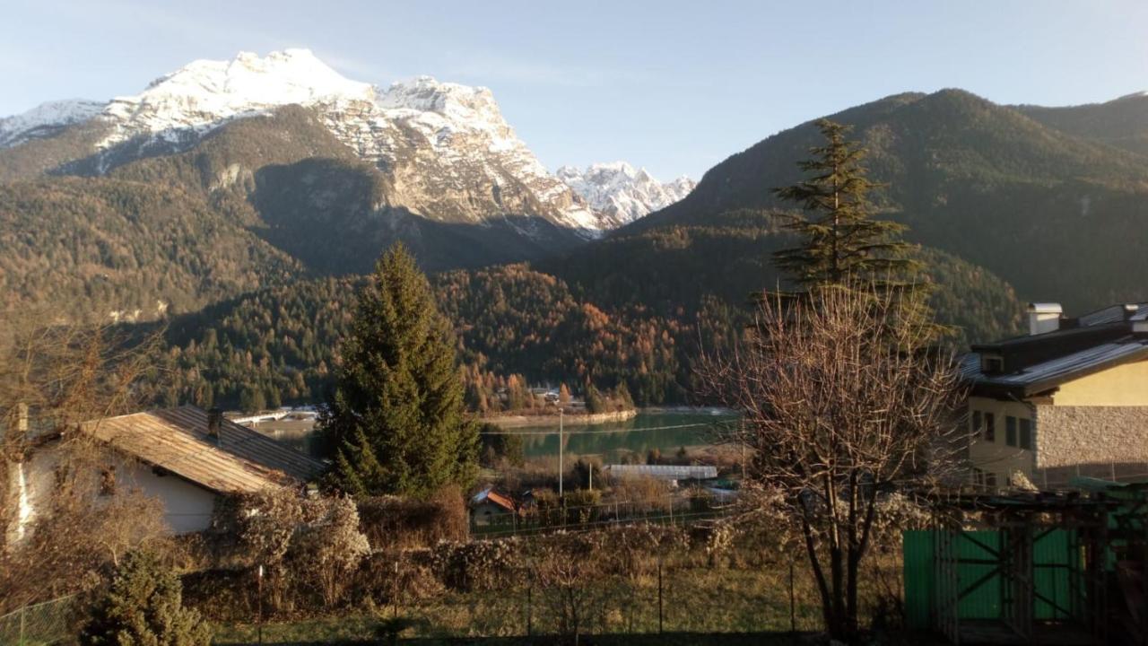 Appartamentovallesella Domegge di Cadore Eksteriør billede